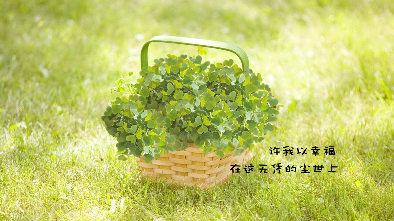 无限流量卡-话费充值-网易云刷粉丝-微信视频点赞